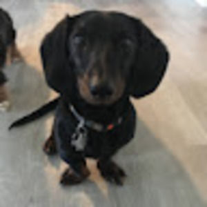 Meet your Posher, Veronica